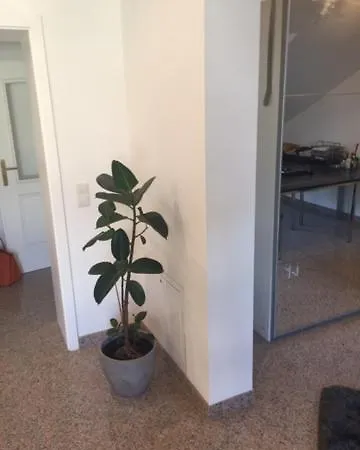Aparthotel Zentrale Lage